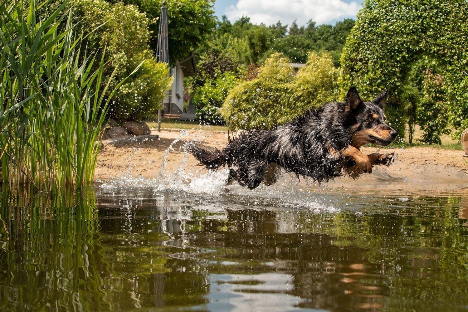 Ferienhaus Seeresidenz Am Muehlensee Godern Exteriör bild