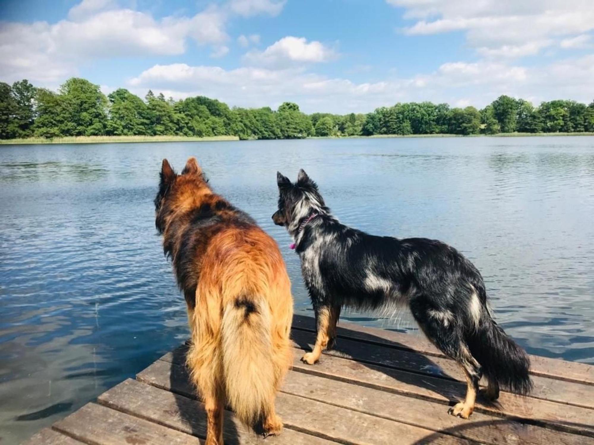 Ferienhaus Seeresidenz Am Muehlensee Godern Exteriör bild