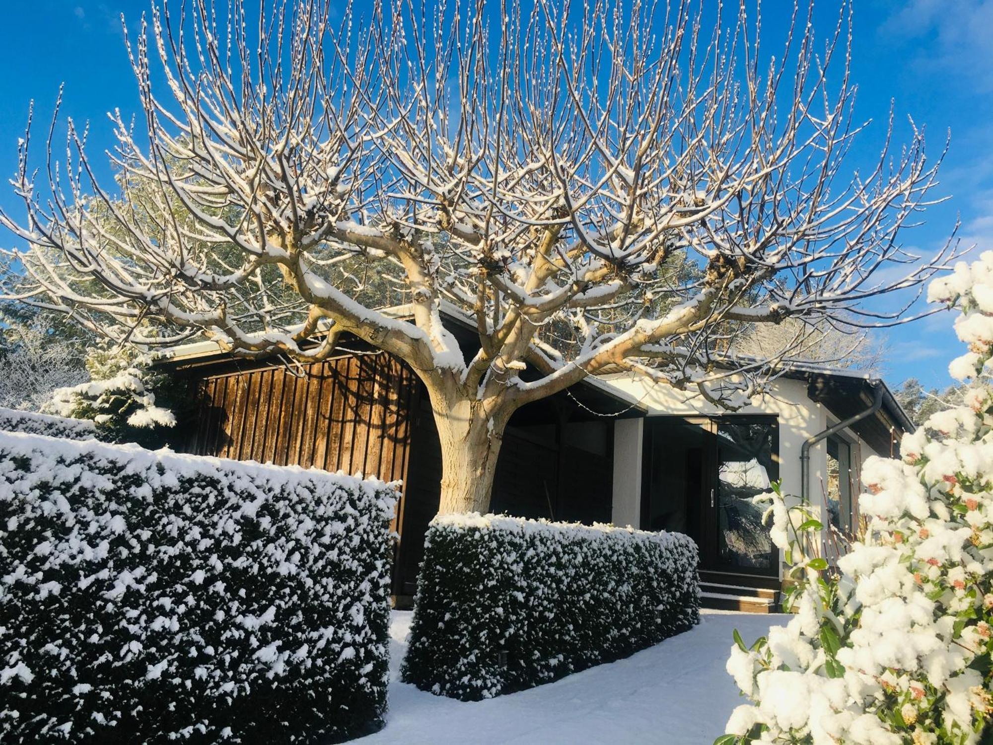 Ferienhaus Seeresidenz Am Muehlensee Godern Exteriör bild
